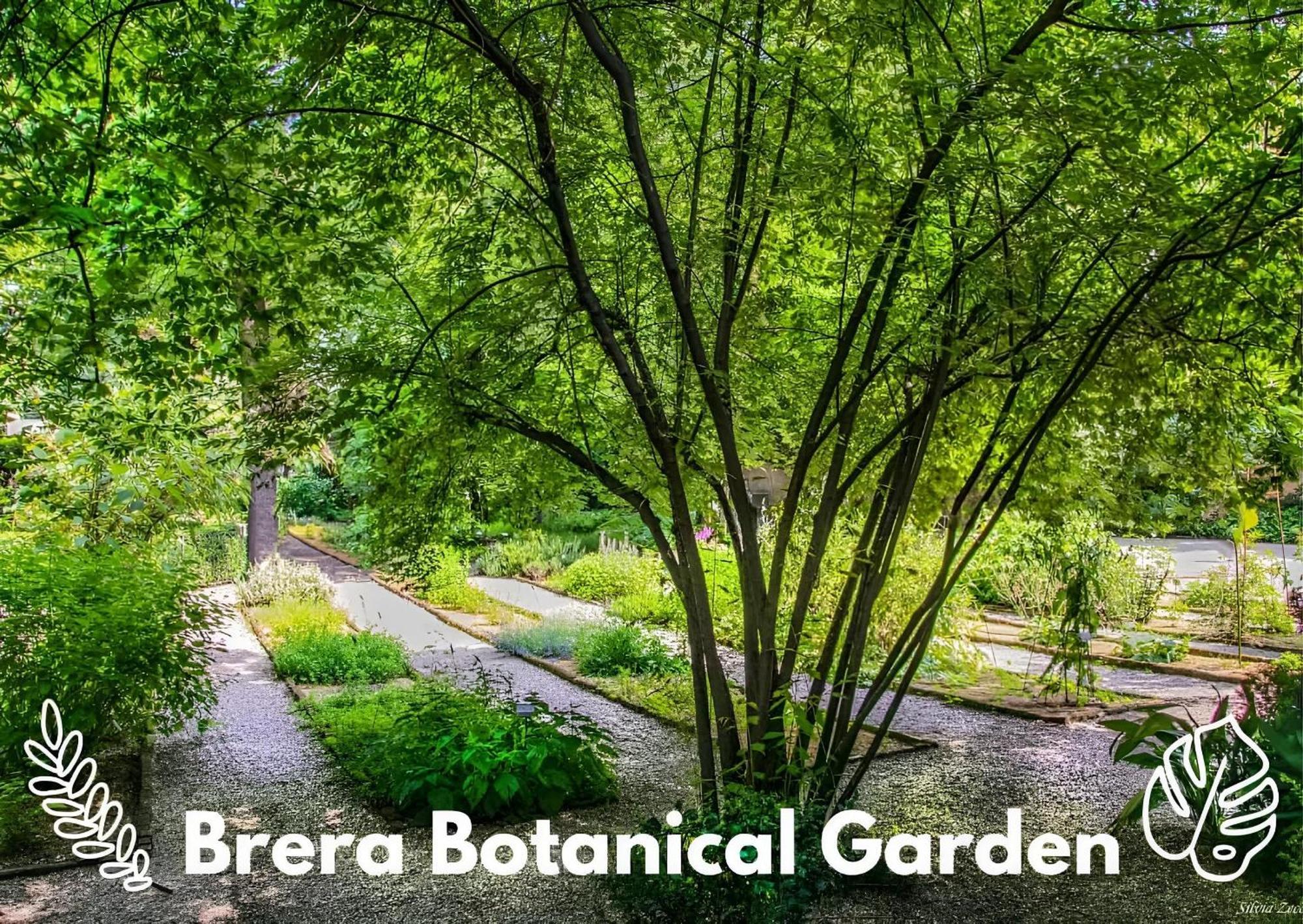 Appartamento Brera Vip Spotlight - Brera - Duomo - Castello Sforzesco - Lanza Metro M2 Milano Esterno foto